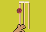 Cricket Greeting Card