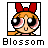 Blossom.