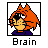 Brain