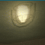 The Mold