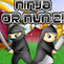 Ninja Or Nun 2