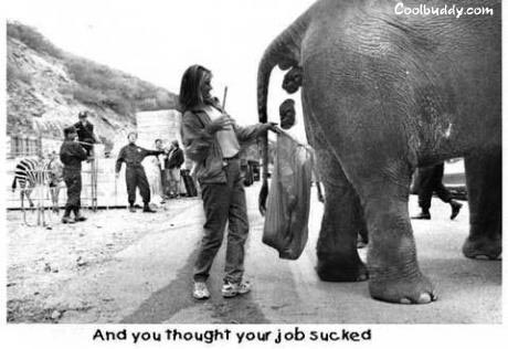 Funny Pics - Office Jokes funny office jokes. Funny Pics - Office Jokes