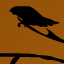Crow In Hell