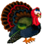 Thanksgiving Comments
