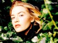 Kate Winslet Wallpapers 800 X 600