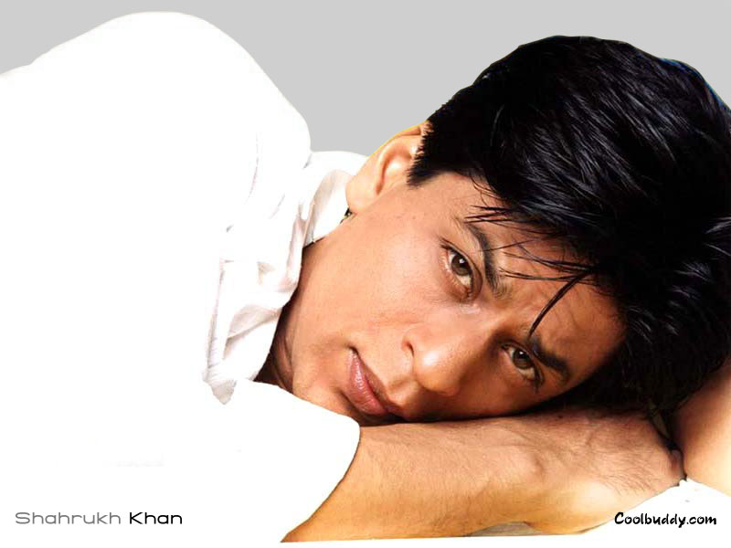 shahrukh khan pictures, shahrukh khan movies wallpapers, shahrukh khan wallpapers, shahrukh khan news, shah rukh khan wallpapers,  shahrukh khan songs, bollywood actress, bollywood actors, King Khan Wallpapers, Bollywood Khan, shahrukh khan picture, shahrukh khan filmfare,  shahrukh khan upcoming movies