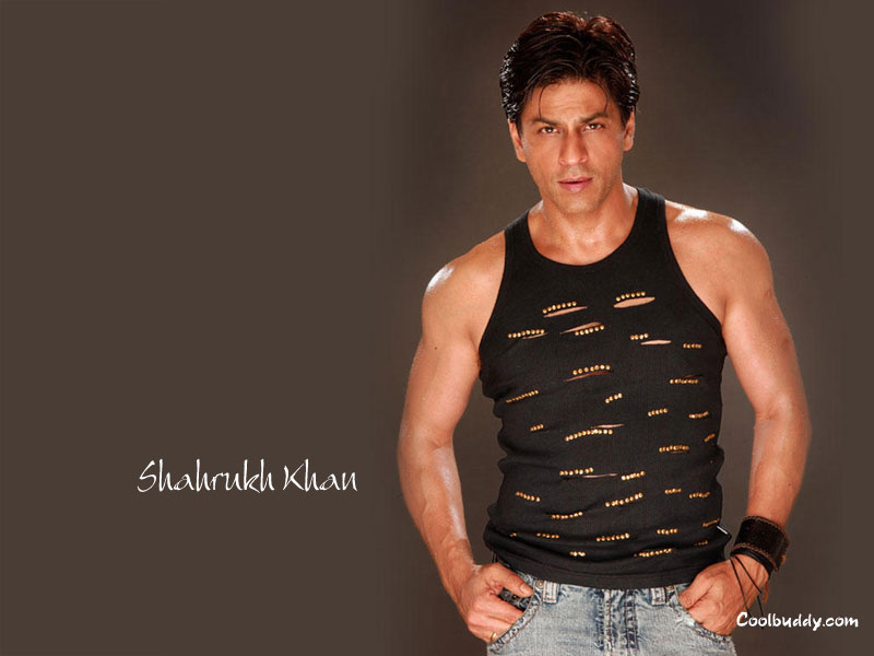 shahrukh khan pictures, shahrukh khan movies wallpapers, shahrukh khan wallpapers, shahrukh khan news, shah rukh khan wallpapers,  shahrukh khan songs, bollywood actress, bollywood actors, King Khan Wallpapers, Bollywood Khan, shahrukh khan picture, shahrukh khan filmfare,  shahrukh khan upcoming movies