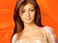 Ayesha Takia Wallpapers  800 X 600