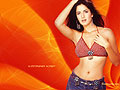 Katrina Kaif Wallpapers  800 X 600