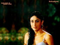 Kareena Kapoor Wallpapers  800 X 600