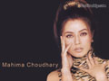 Mahima Choudhary Wallpapers  800 X 600