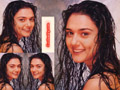 Preity Zinta Wallpapers  800 X 600