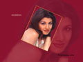 Rambha wallpapers  800 X 600