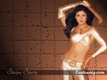 Shilpa Shetty Wallpapers  800 X 600