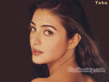 Tabu wallpapers  800 X 600