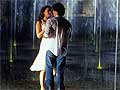 Bride_prejudice Wallpapers  800 X 600