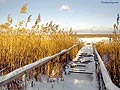 paisagens