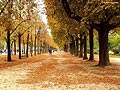 papel de parede paisagens