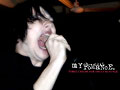 MCR Wallpapers 800 X 600