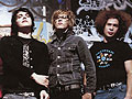 MCR Wallpapers 800 X 600