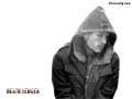 Heath Ledger wallpapers  800 X 600