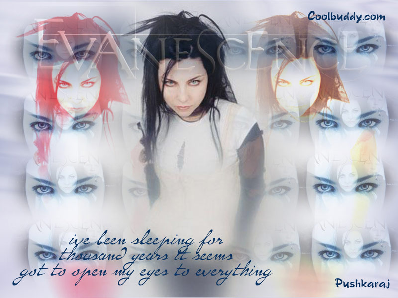evanescence05