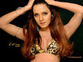 Celina Jaitley
