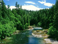 Rivers And Creeks Wallpapers
